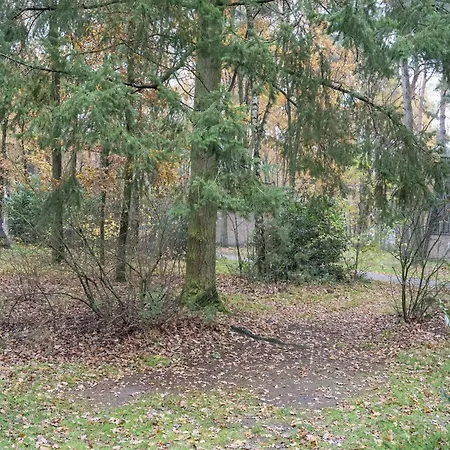 Ferienhaus Woodland W Bbq *